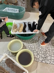 Guangzhou changrong hairdressing product ltd.,co